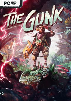 The Gunk-FLT